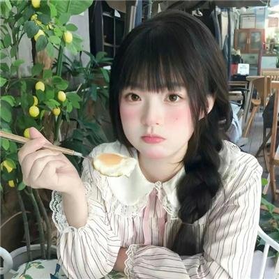 科搜研之女第23季